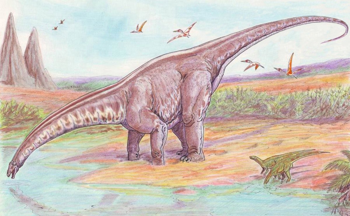 many-people-would-call-the-dinosaur-below-a-brontosaurus--even-michael-crichton-did-in-jurassic-park--but-it-is-actually-called-the-apatosaurus-the-myth-was-started-by-two-feuding-paleonto